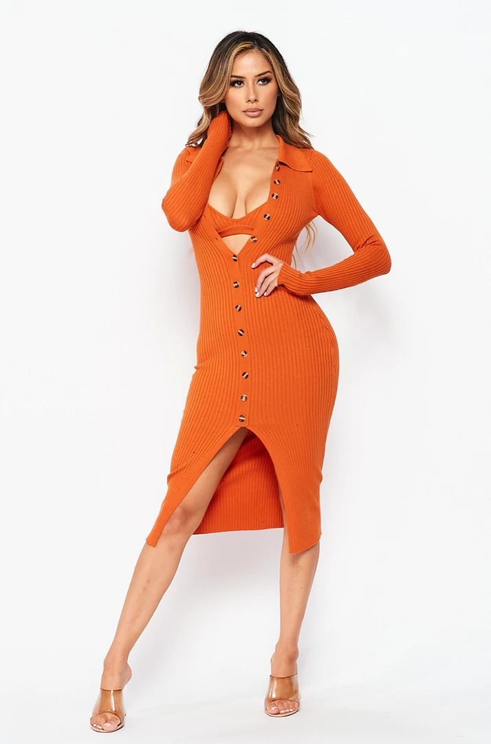 LOVE MODA Elegant Long Sleeve Collar Button Down Dress W/ Bra DRESSES 9 LOVE MODA Elegant Long Sleeve Collar Button Down Dress W/ Bra DRESSES