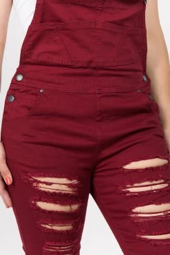 LOVE MODA Distressed Front Skinny Overalls - Plus Size