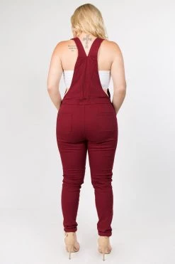 LOVE MODA Distressed Front Skinny Overalls - Plus Size