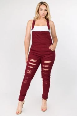 LOVE MODA Distressed Front Skinny Overalls - Plus Size